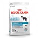 Royal Canin Urban Life Junior Small Dog Сухой корм для щенков мелких пород городского содержания – интернет-магазин Ле’Муррр