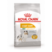 Royal Canin Mini Coat Care Сухой корм для взрослых собак мелких пород для здоровой шерсти – интернет-магазин Ле’Муррр