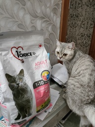 Пользовательская фотография №5 к отзыву на 1st Choice Vitality Сухой корм для взрослых домашних кошек (с курицей)